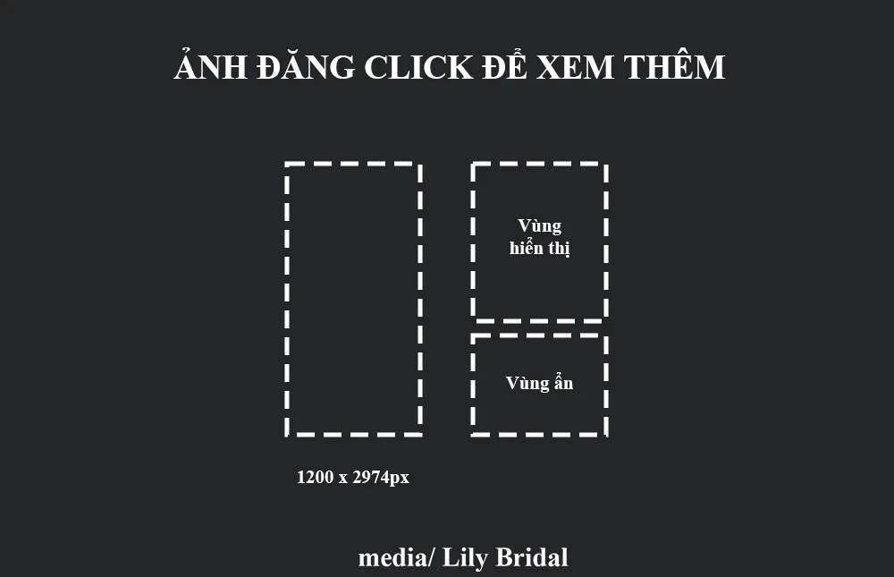 Kích thước dạng ảnh đăng click xem thêm