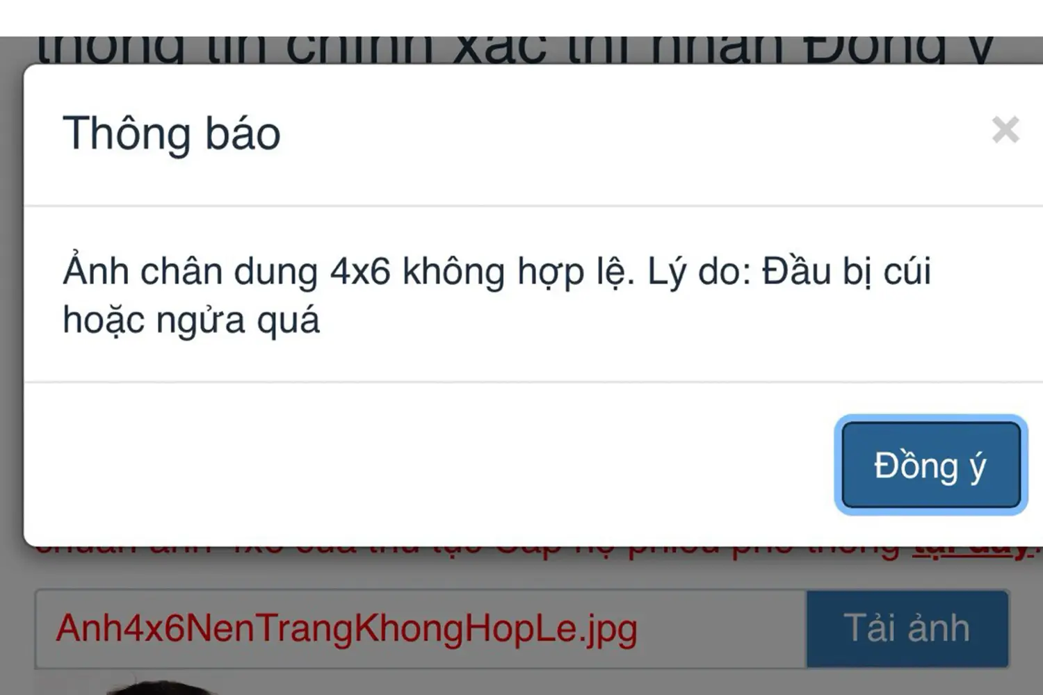 Ảnh chân dung 4x6 không hợp lệ: Lý do: Đầu bị cúi hoặc ngửa quá.