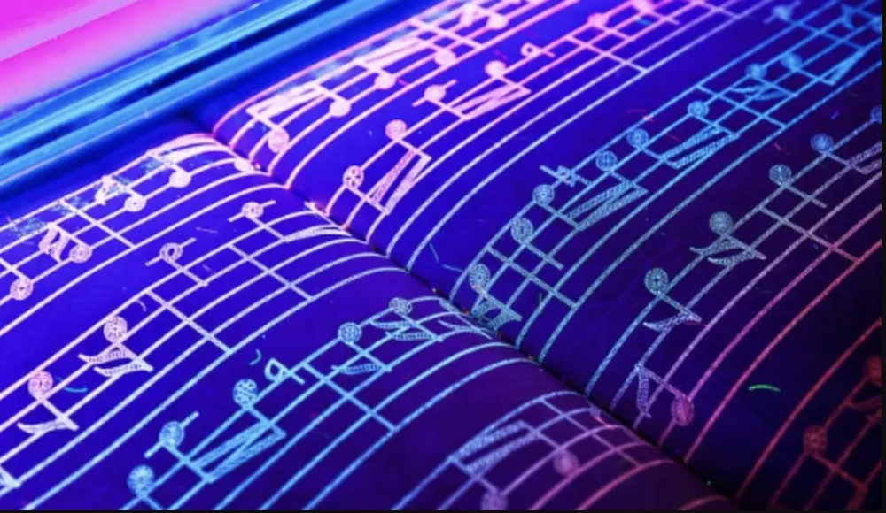 Hộ chiếu nốt nhạc của Hungary